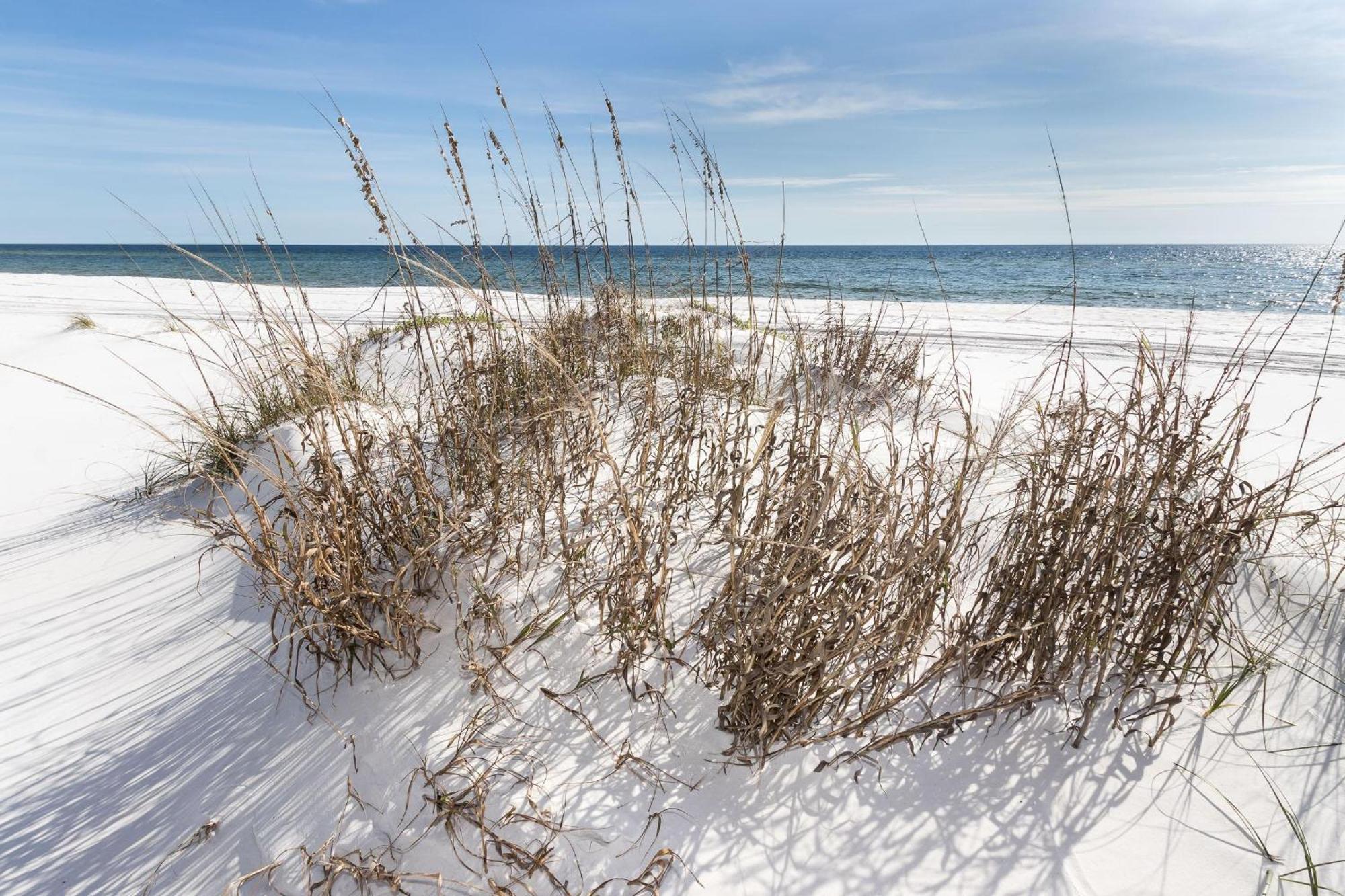Nautilus Unit 2407 Fort Walton Beach Exterior foto